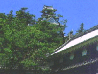 Kochi Castle